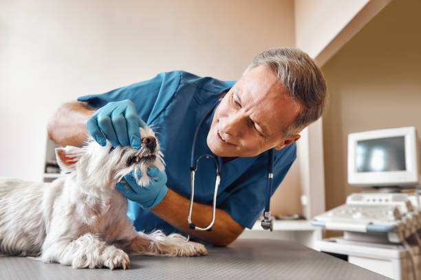 Best Emergency Dental Care for Trauma or Injury in Ancient Oaks, PA